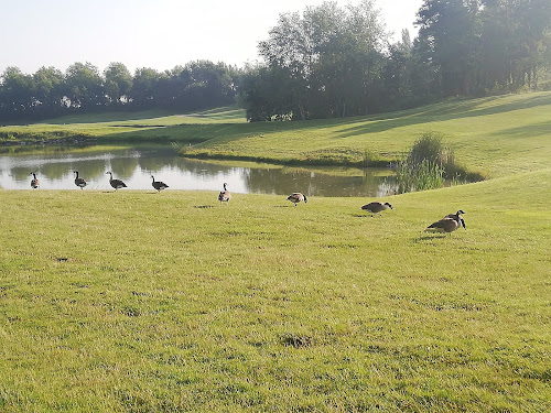 Crécy Golf Club à Crécy-la-Chapelle