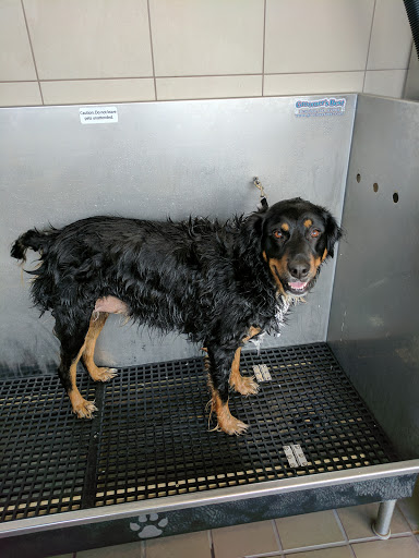 Pet Supply Store «Pet Supplies Plus», reviews and photos, 2157 Penfield Rd, Penfield, NY 14526, USA