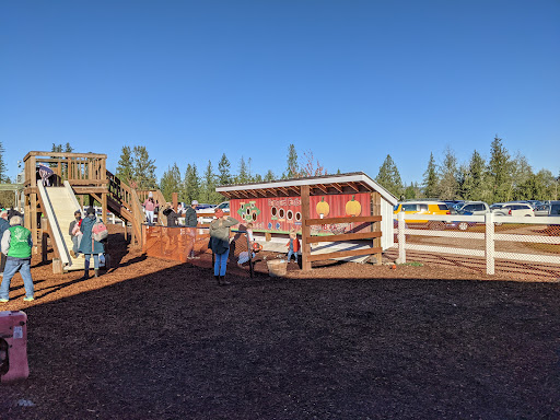 Amusement Center «Maris Farms», reviews and photos, 25001 Sumner Buckley Hwy, Buckley, WA 98321, USA