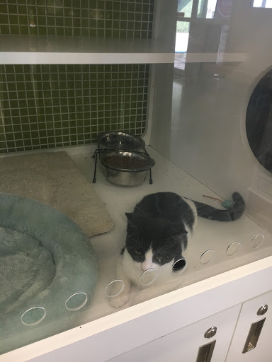 Pet Supply Store «PetSmart», reviews and photos, 6243 College Dr, Suffolk, VA 23435, USA