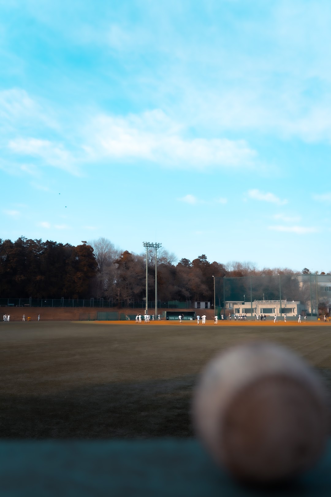 東洋大学野球グラウンド