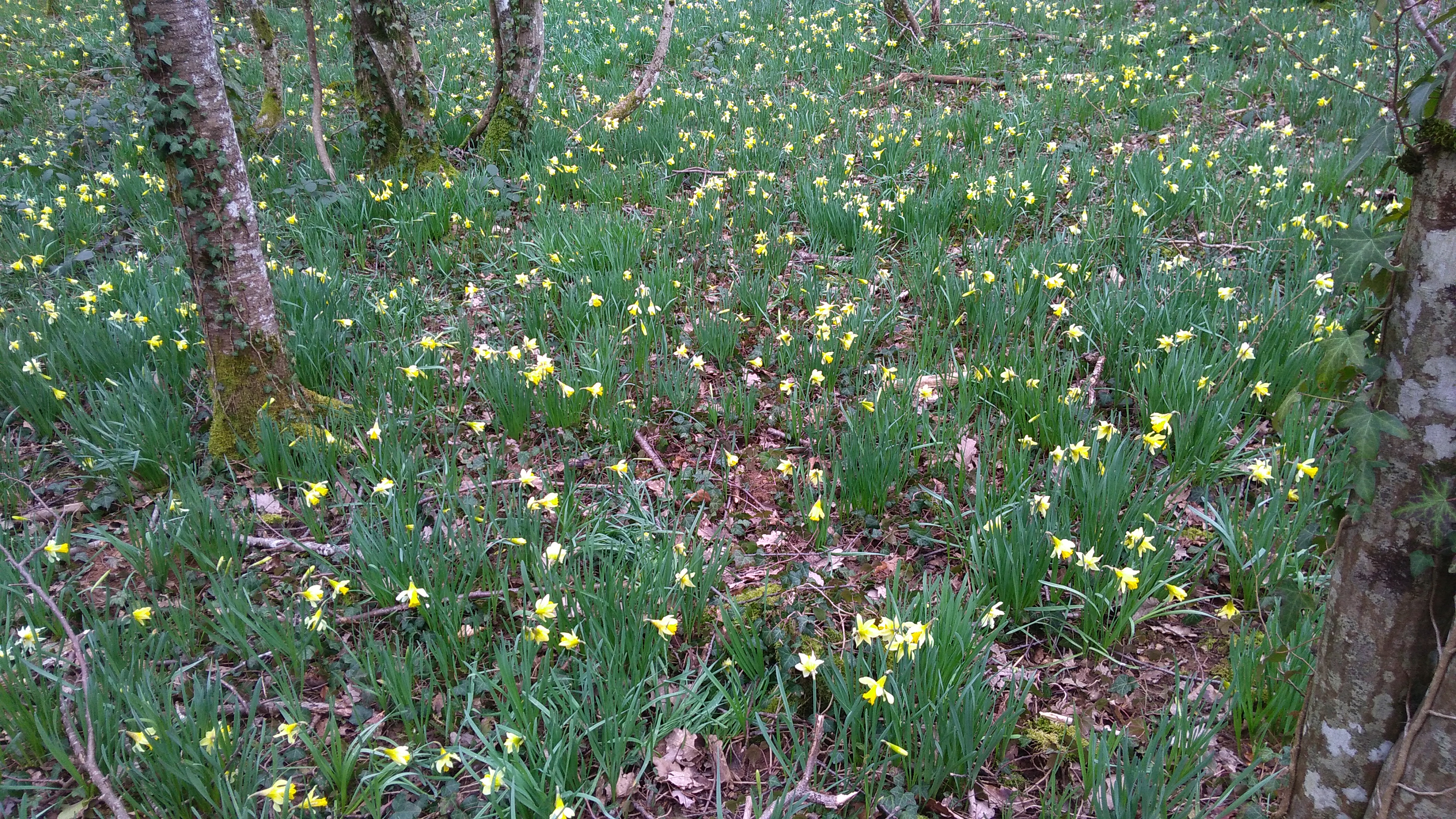Photo n° 1 de l'avis de Janine.a fait le 04/03/2020 à 21:05