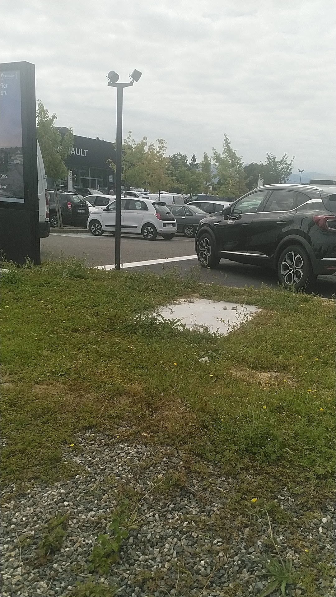 Photo n° 1 de l'avis de Nat.e fait le 24/07/2020 à 09:30