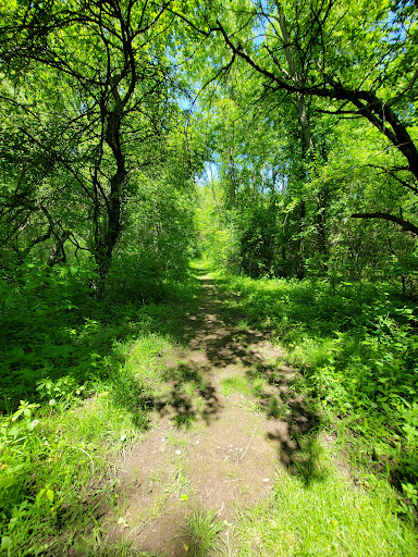 Nature Preserve «Lost Lake Nature Preserve», reviews and photos, Evans Rd, Holly, MI 48442, USA