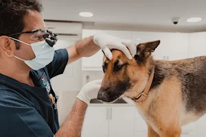 German Qatar Veterinary Clinic image