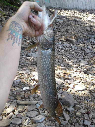 Pet Supply Store «Petco Animal Supplies», reviews and photos, 2277 Ford Pkwy, St Paul, MN 55116, USA