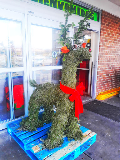 Mexican Grocery Store «Fiesta Market», reviews and photos, 939 E Irving Park Rd, Streamwood, IL 60107, USA