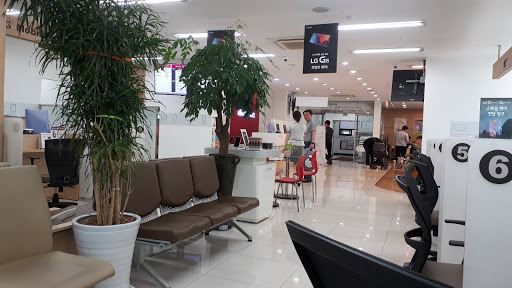 LG Electronics Service Center in Anyang points