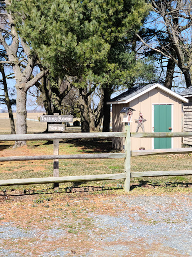 Vineyard «Crow Farm», reviews and photos, 12441 Vansant Corner Rd, Kennedyville, MD 21645, USA
