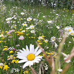 Photo n°1 de l'avis de M..i fait le 19/07/2020 à 23:10 sur le  Col Alt à Corvara
