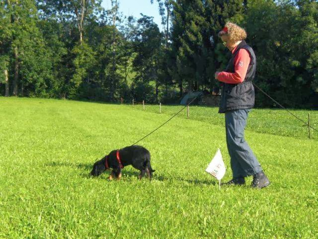 Hundeausbildung Pfotentreff GmbH - Frauenfeld