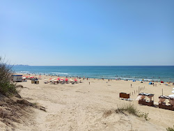 Photo de Plyazh Anapa avec un niveau de propreté de assez propre