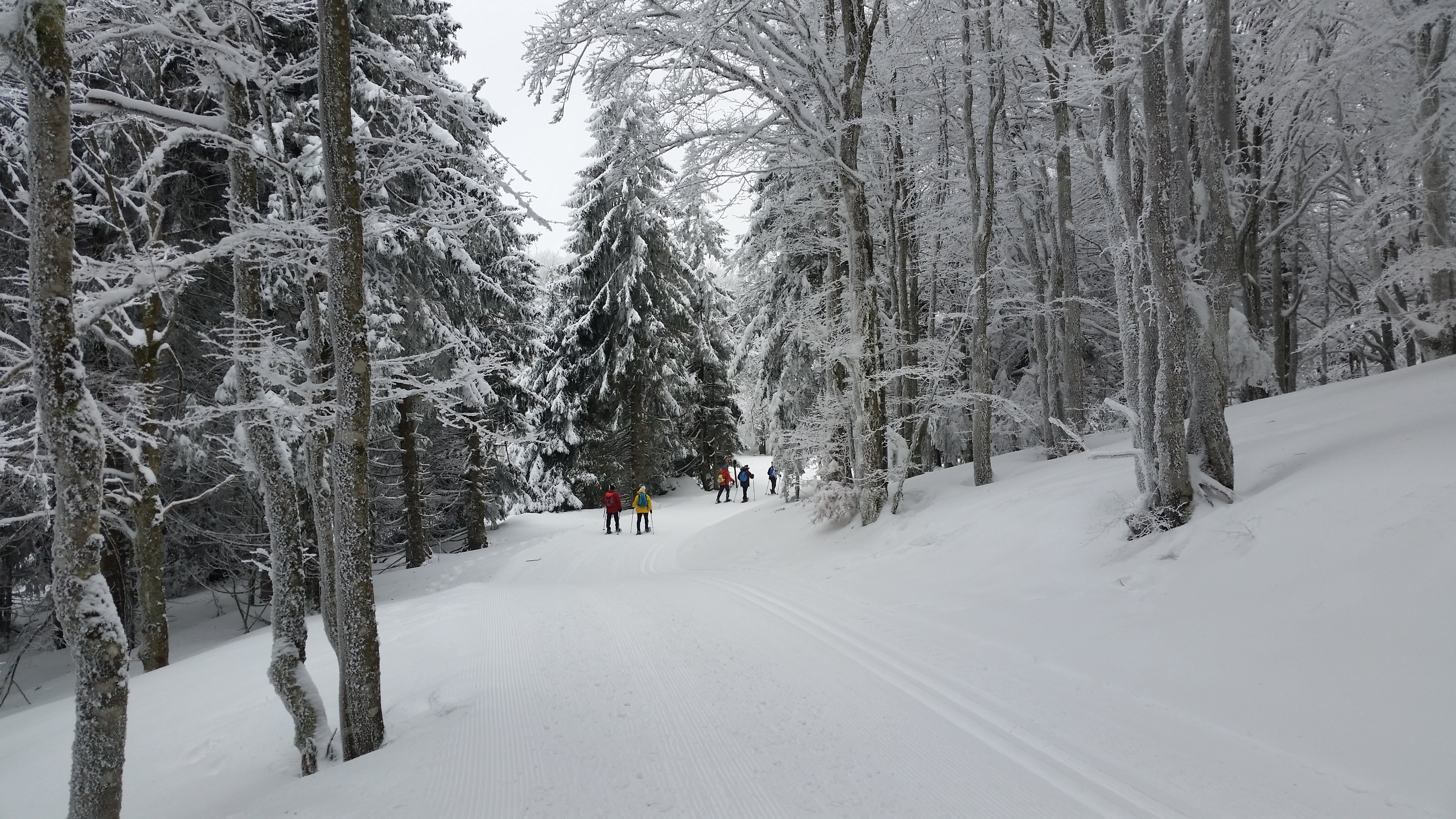 Photo n° 1 de l'avis de Rémy.r fait le 23/02/2018 à 17:54