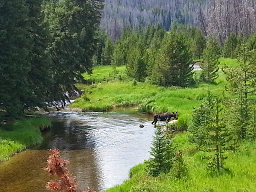 National Park «Rocky Mountain National Park», reviews and photos