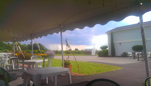 Winery «Casa Larga Vineyards», reviews and photos, 2287 Turk Hill Rd, Fairport, NY 14450, USA