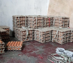 PRIMA CHICKEN JAYAPURA photo