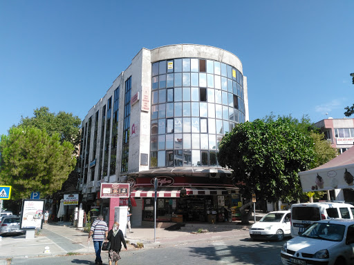 Tmmob Jeoloji Mühendisleri Odası Muğla İl Temsilciliği