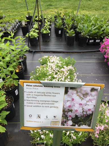 Golf Course «Mount Pleasant Golf Course», reviews and photos, 6001 Hillen Rd, Baltimore, MD 21239, USA