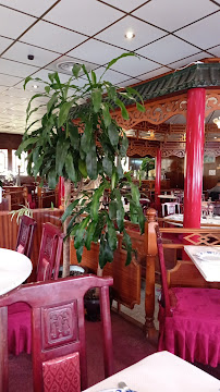 Atmosphère du Restaurant chinois Grand Bonheur à Ris-Orangis - n°3