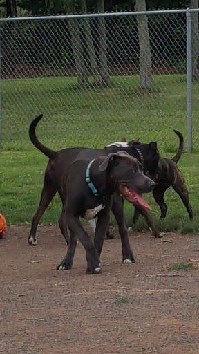 Memorial Park «Alvin P. Williams Memorial Park», reviews and photos, Port Reading Ave, Sewaren, NJ 07077, USA