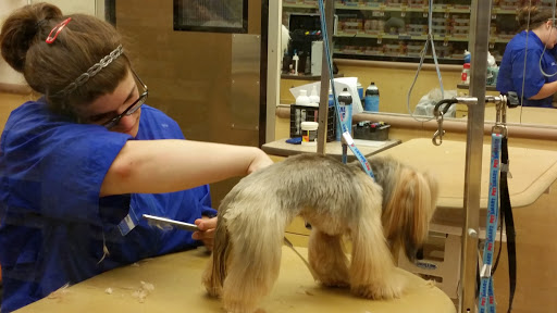 Pet Supply Store «PetSmart», reviews and photos, 3401 Erie Blvd E, Syracuse, NY 13214, USA