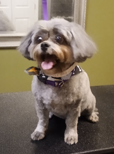 Pet Supply Store «EarthWise Pet Supply», reviews and photos, 3300 Hamilton Mill Rd #103, Buford, GA 30519, USA