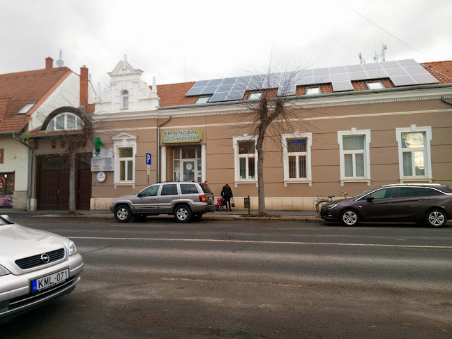 Értékelések erről a helyről: Őrangyal Gyógyszertár, Sárvár - Gyógyszertár