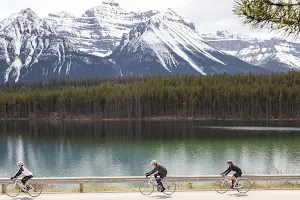 Mountain Madness Tours / Edmonton Bike Rentals image