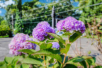 Davida Landscape Designs LLC - Photo 5 - Car repair in , Stamford