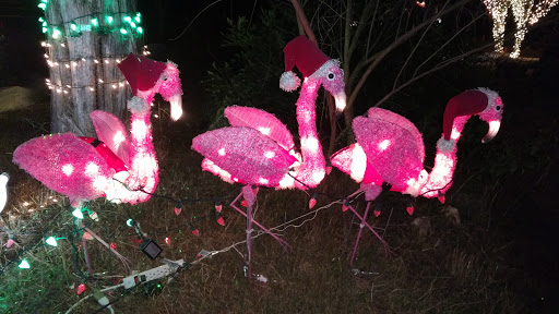 Performing Arts Theater «Emilyann Theatre», reviews and photos, 1101 Ranch Rd 2325, Wimberley, TX 78676, USA