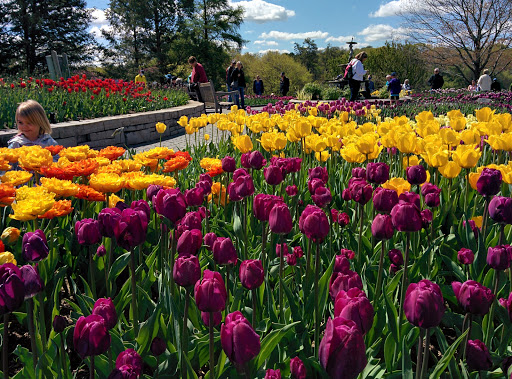 Minnesota Landscape Arboretum - Advance Reservations/Tickets Required