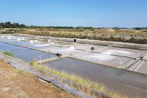 Marais salants de la Vie image