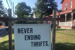 Never Ending Thrifts LLC image
