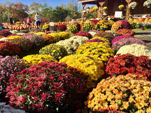 Produce Market «The Bigsby Market», reviews and photos, 1418 Dryden Rd, Freeville, NY 13068, USA