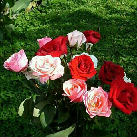 Florist «Flowers of Kingwood», reviews and photos, 1962 Northpark Dr, Kingwood, TX 77339, USA