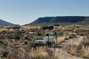 Fossil Trail (Karoo National Park) image