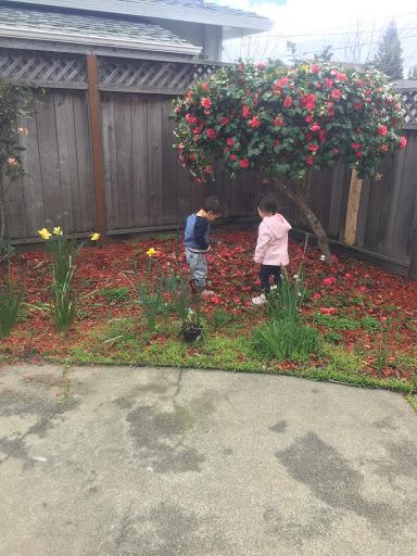 Wishing Well Daycare image