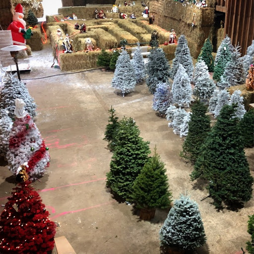 Meadowbrook Farm - Christmas Trees