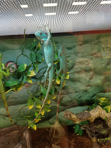 Pet Supply Store «Petco Animal Supplies», reviews and photos, 1917 Douglas Blvd, Roseville, CA 95661, USA