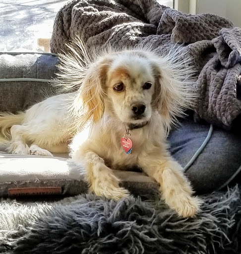 8395 Elati St, Denver, CO 80221, USA