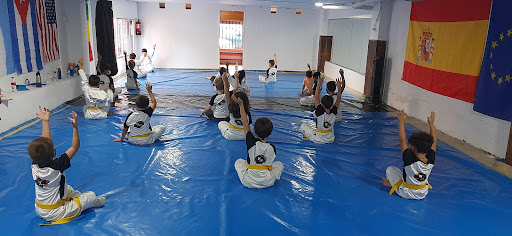 Taekwon Do Sierra Nevada SEDES POR TODA GRANADA Y ALREDEDORES en Churriana de la Vega, Granada