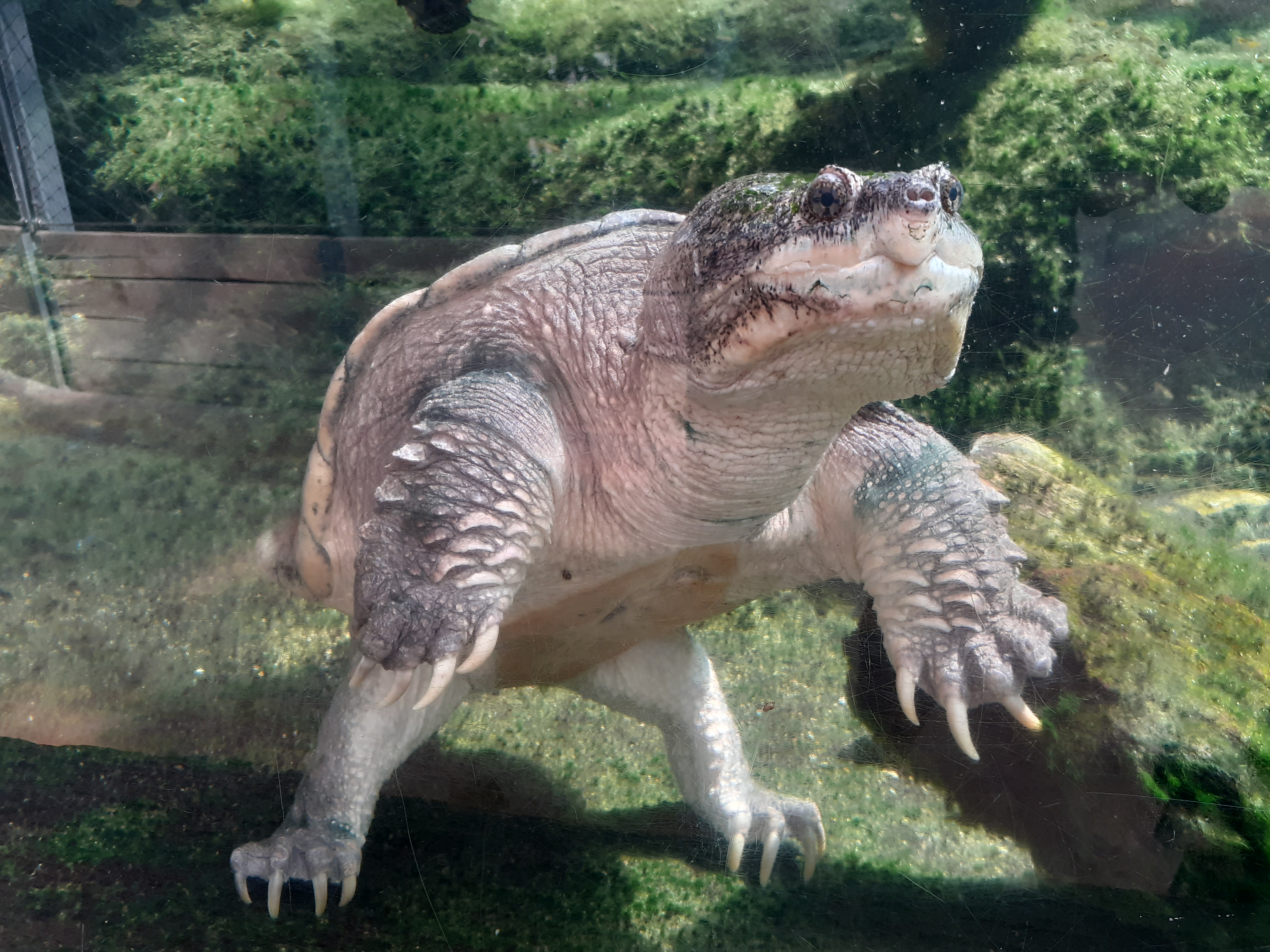 Photo n° 6 de l'avis de Severine.h fait le 15/09/2020 à 18:59