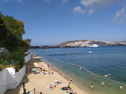 Cocuk Bahcesi Beach'in fotoğrafı vahşi alan