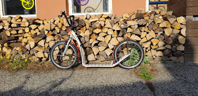 Recenze na kolobezky.bike v Olomouc - Prodejna sportovních potřeb
