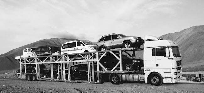 Parcela 41, Cam. El Olivo, Maipú, Región Metropolitana