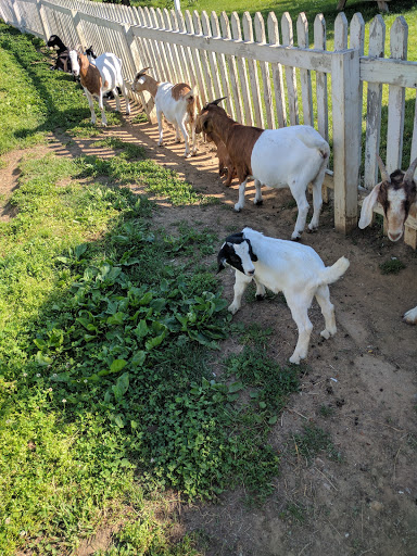 Ice Cream Shop «Grochowicz Farm Market & Fall Family Fun», reviews and photos, 2401 NJ-31, Glen Gardner, NJ 08826, USA