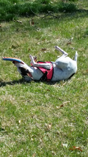 Pet Supply Store «PetSmart», reviews and photos, 131 Highlands Blvd Dr, Manchester, MO 63011, USA