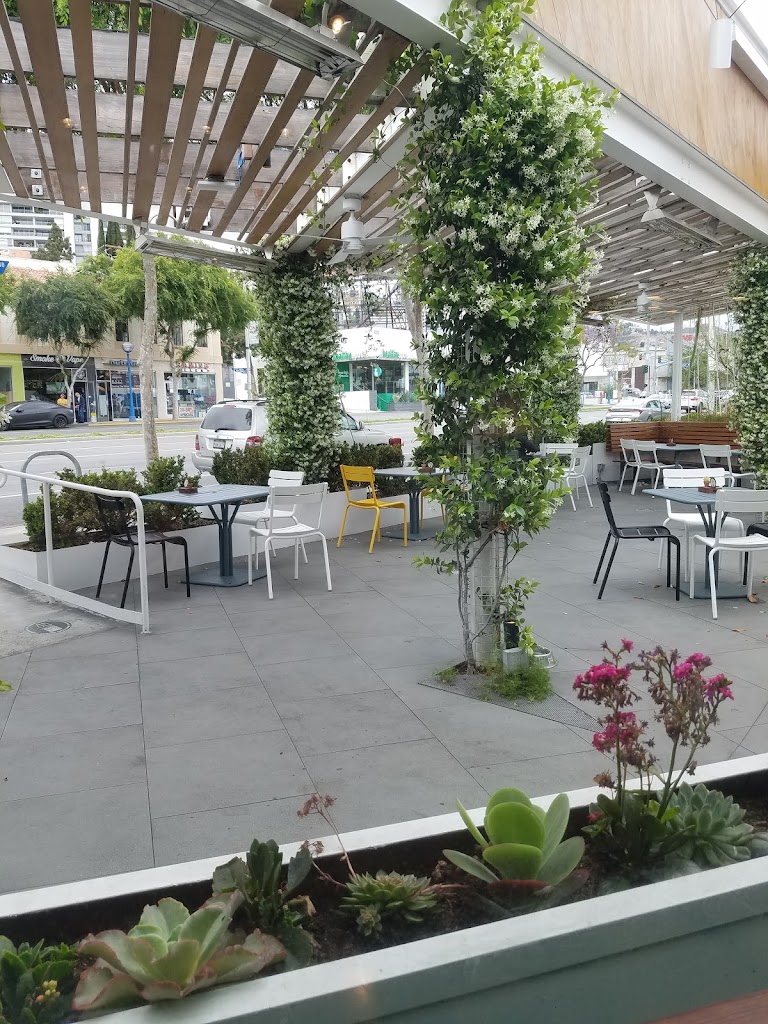 Shake Shack West Hollywood (cross Santa Monica and La Cienega