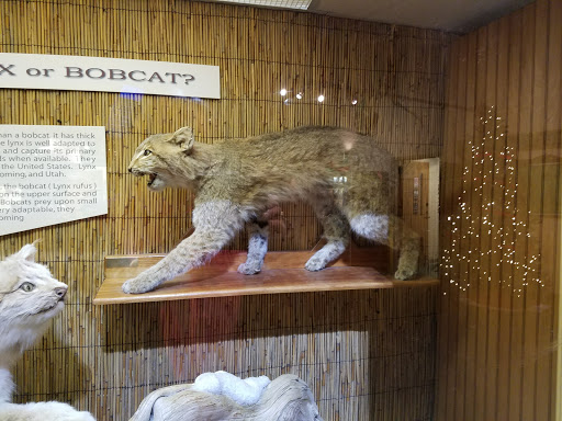 Park «Bays Mountain Park & Planetarium», reviews and photos, 853 Bays Mountain Rd, Kingsport, TN 37660, USA