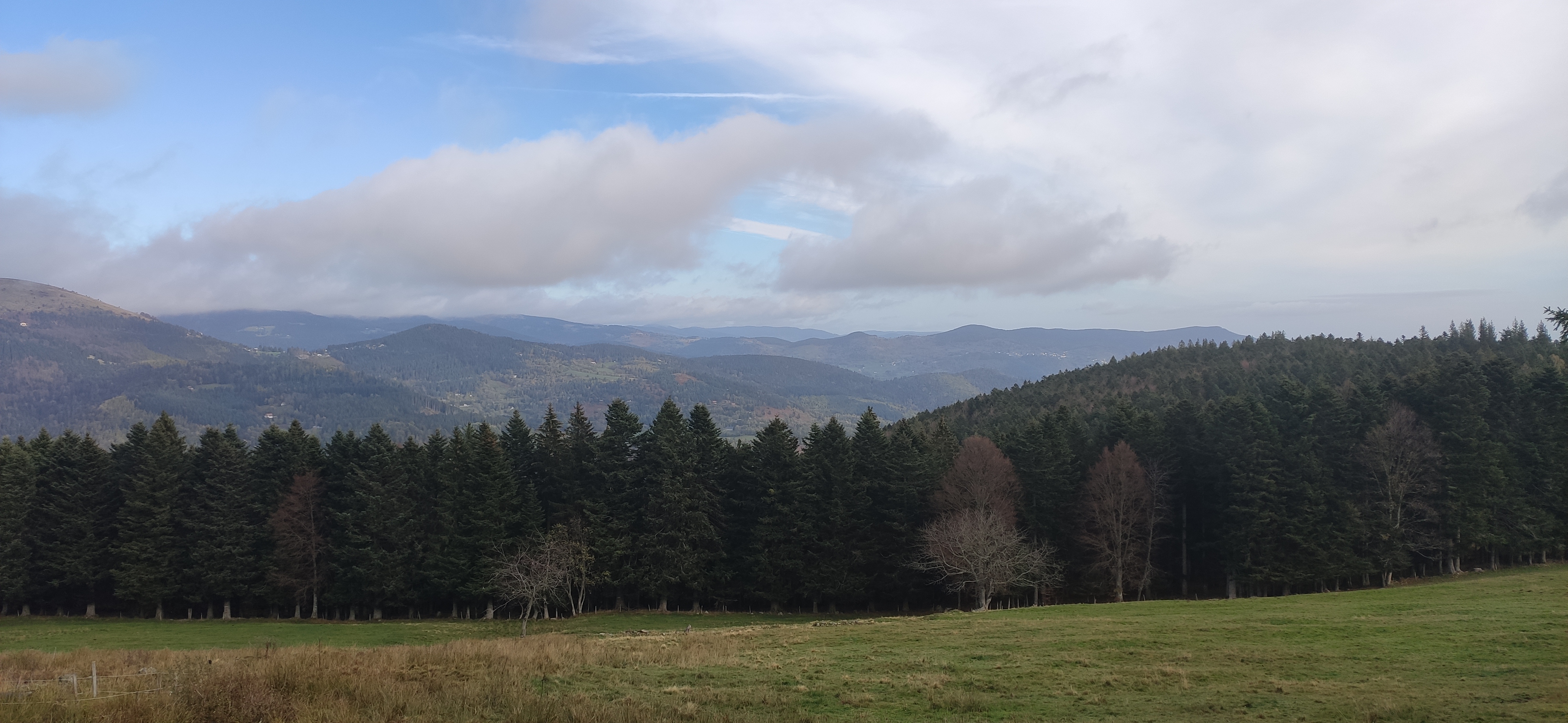Photo n° 1 de l'avis de Stefany.a fait le 16/11/2022 à 21:25